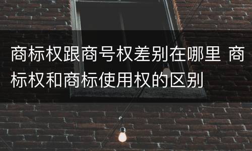 商标权跟商号权差别在哪里 商标权和商标使用权的区别