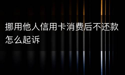 挪用他人信用卡消费后不还款怎么起诉