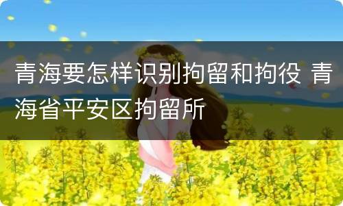 青海要怎样识别拘留和拘役 青海省平安区拘留所