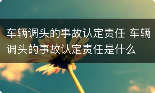车辆调头的事故认定责任 车辆调头的事故认定责任是什么