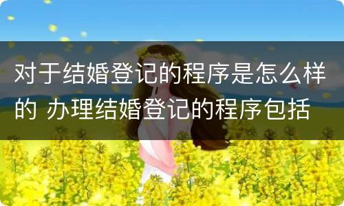 对于结婚登记的程序是怎么样的 办理结婚登记的程序包括