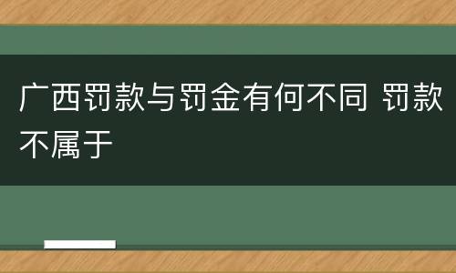 广西罚款与罚金有何不同 罚款不属于