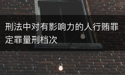 刑法中对有影响力的人行贿罪定罪量刑档次
