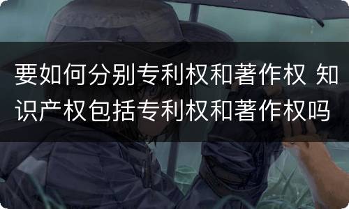 要如何分别专利权和著作权 知识产权包括专利权和著作权吗