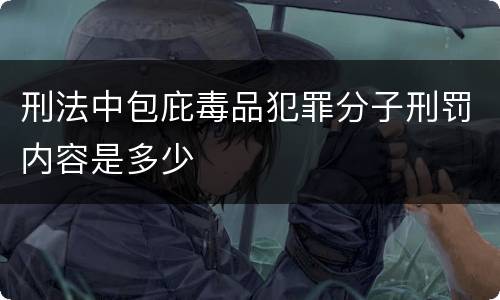 刑法中包庇毒品犯罪分子刑罚内容是多少