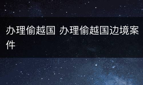 办理偷越国 办理偷越国边境案件