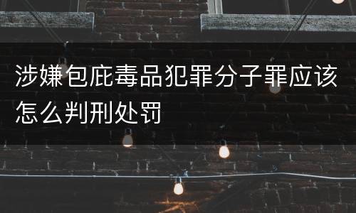 涉嫌包庇毒品犯罪分子罪应该怎么判刑处罚