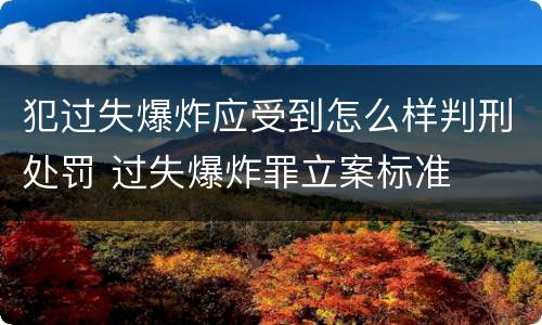 犯过失爆炸应受到怎么样判刑处罚 过失爆炸罪立案标准