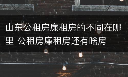 山东公租房廉租房的不同在哪里 公租房廉租房还有啥房