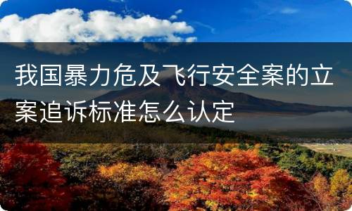我国暴力危及飞行安全案的立案追诉标准怎么认定