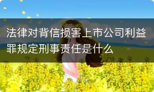 法律对背信损害上市公司利益罪规定刑事责任是什么
