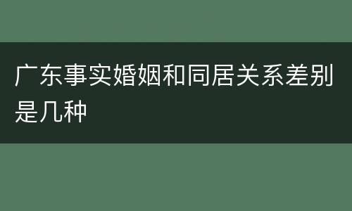 广东事实婚姻和同居关系差别是几种