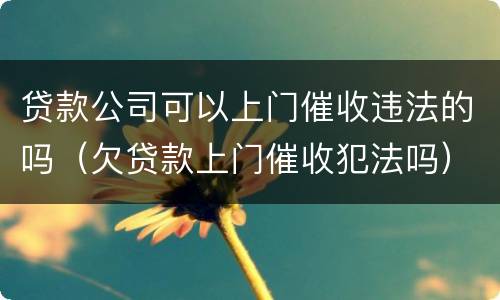 贷款公司可以上门催收违法的吗（欠贷款上门催收犯法吗）