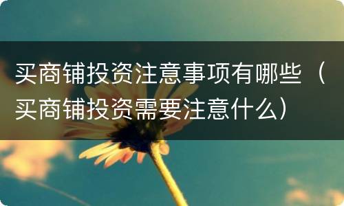 买商铺投资注意事项有哪些（买商铺投资需要注意什么）
