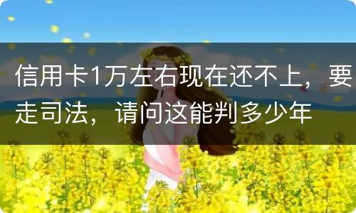 信用卡1万左右现在还不上，要走司法，请问这能判多少年