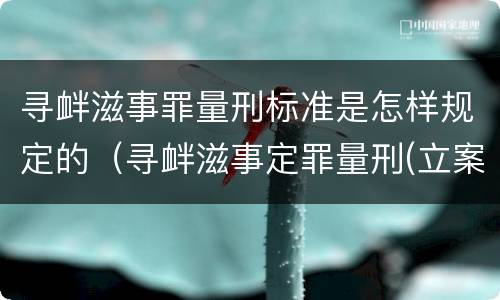 寻衅滋事罪量刑标准是怎样规定的（寻衅滋事定罪量刑(立案全标准）
