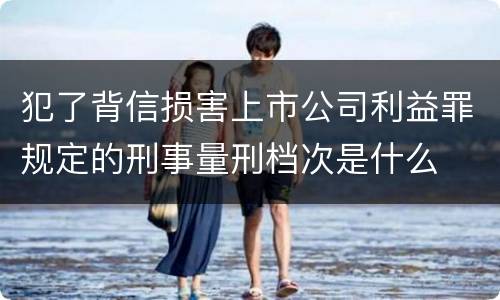 犯了背信损害上市公司利益罪规定的刑事量刑档次是什么
