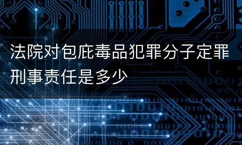 法院对包庇毒品犯罪分子定罪刑事责任是多少