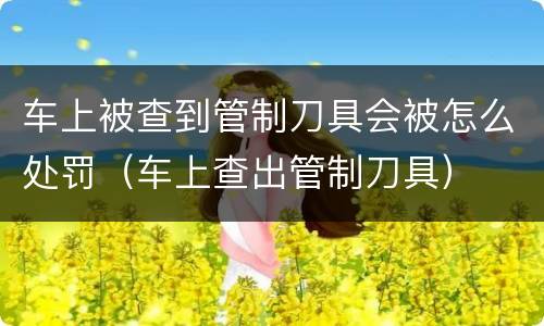 车上被查到管制刀具会被怎么处罚（车上查出管制刀具）