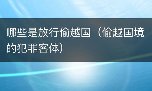 哪些是放行偷越国（偷越国境的犯罪客体）