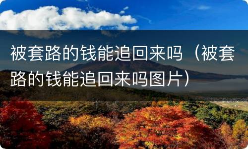 被套路的钱能追回来吗（被套路的钱能追回来吗图片）