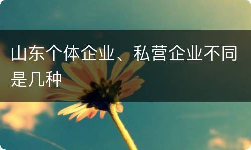 山东个体企业、私营企业不同是几种