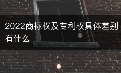 2022商标权及专利权具体差别有什么