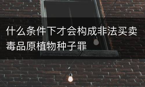 什么条件下才会构成非法买卖毒品原植物种子罪