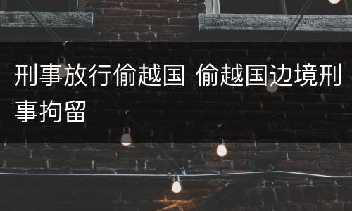 刑事放行偷越国 偷越国边境刑事拘留