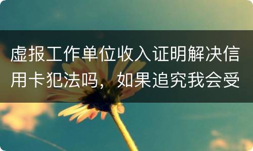 虚报工作单位收入证明解决信用卡犯法吗，如果追究我会受到怎样的处罚，请帮帮我谢谢