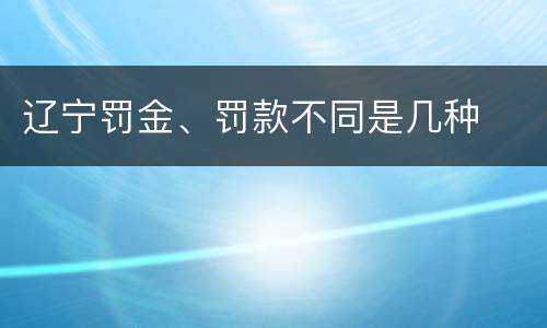 辽宁罚金、罚款不同是几种