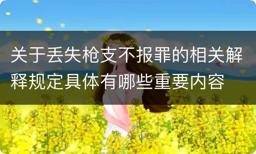 关于丢失枪支不报罪的相关解释规定具体有哪些重要内容