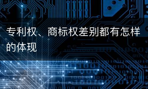 专利权、商标权差别都有怎样的体现
