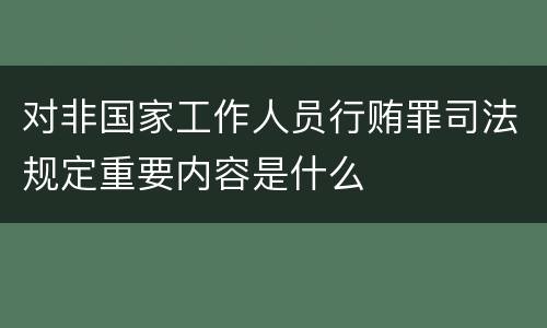 对非国家工作人员行贿罪司法规定重要内容是什么