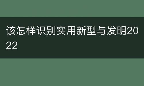 该怎样识别实用新型与发明2022