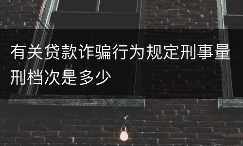 有关贷款诈骗行为规定刑事量刑档次是多少