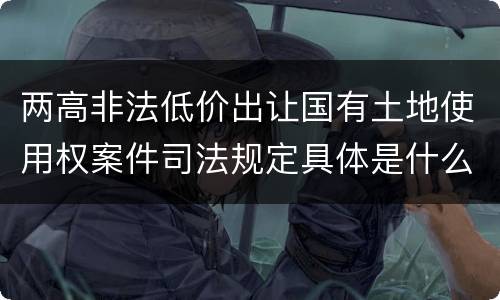 两高非法低价出让国有土地使用权案件司法规定具体是什么
