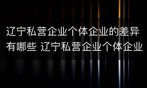 辽宁私营企业个体企业的差异有哪些 辽宁私营企业个体企业的差异有哪些呢
