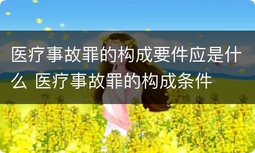 医疗事故罪的构成要件应是什么 医疗事故罪的构成条件