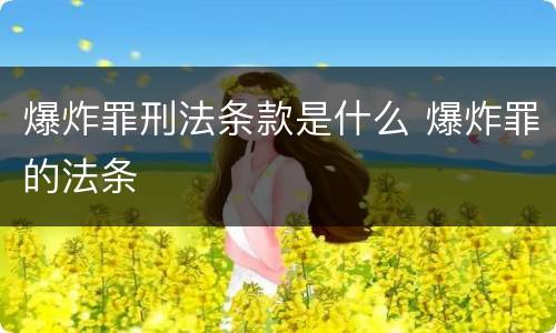 爆炸罪刑法条款是什么 爆炸罪的法条