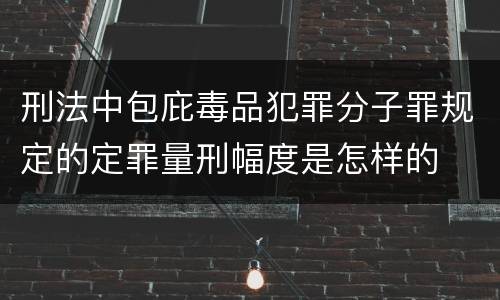 刑法中包庇毒品犯罪分子罪规定的定罪量刑幅度是怎样的