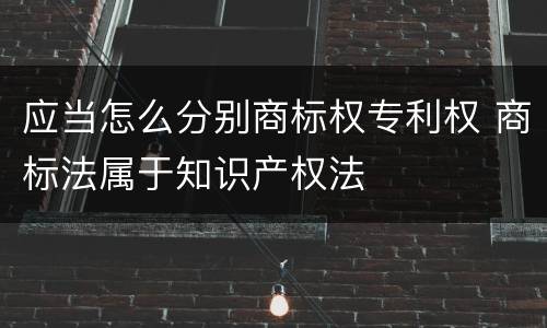 应当怎么分别商标权专利权 商标法属于知识产权法