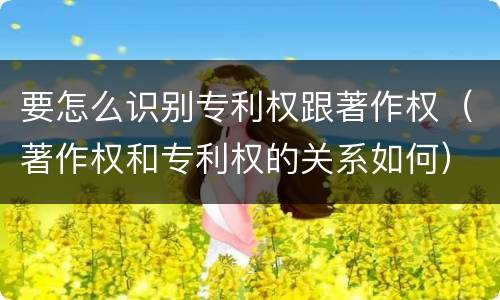 要怎么识别专利权跟著作权（著作权和专利权的关系如何）