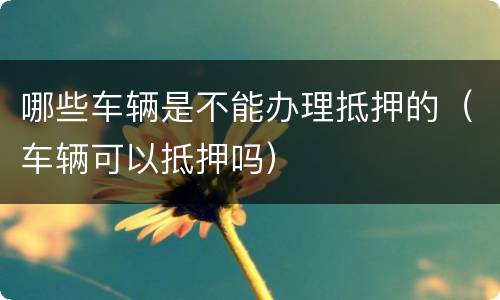哪些车辆是不能办理抵押的（车辆可以抵押吗）