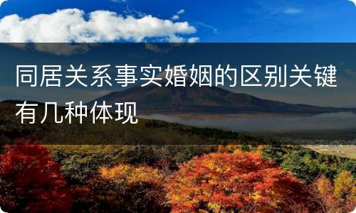 同居关系事实婚姻的区别关键有几种体现