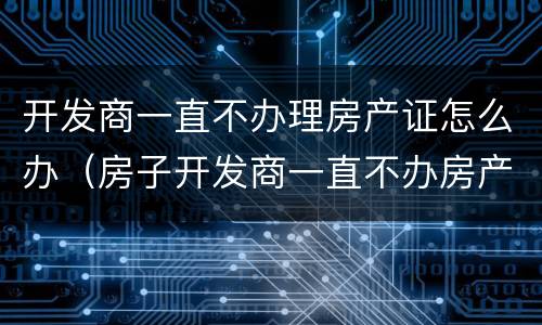 开发商一直不办理房产证怎么办（房子开发商一直不办房产证怎么办?）