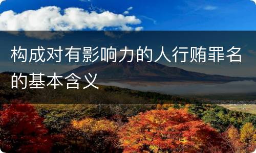 构成对有影响力的人行贿罪名的基本含义