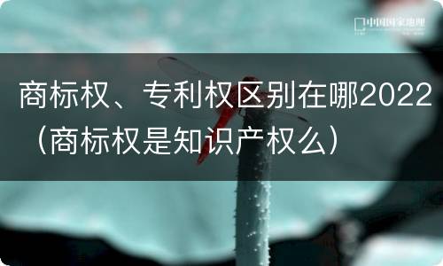 商标权、专利权区别在哪2022（商标权是知识产权么）