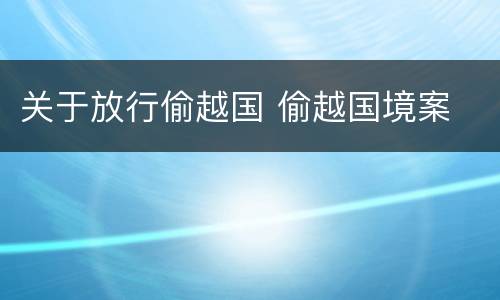 关于放行偷越国 偷越国境案