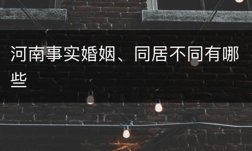 河南事实婚姻、同居不同有哪些